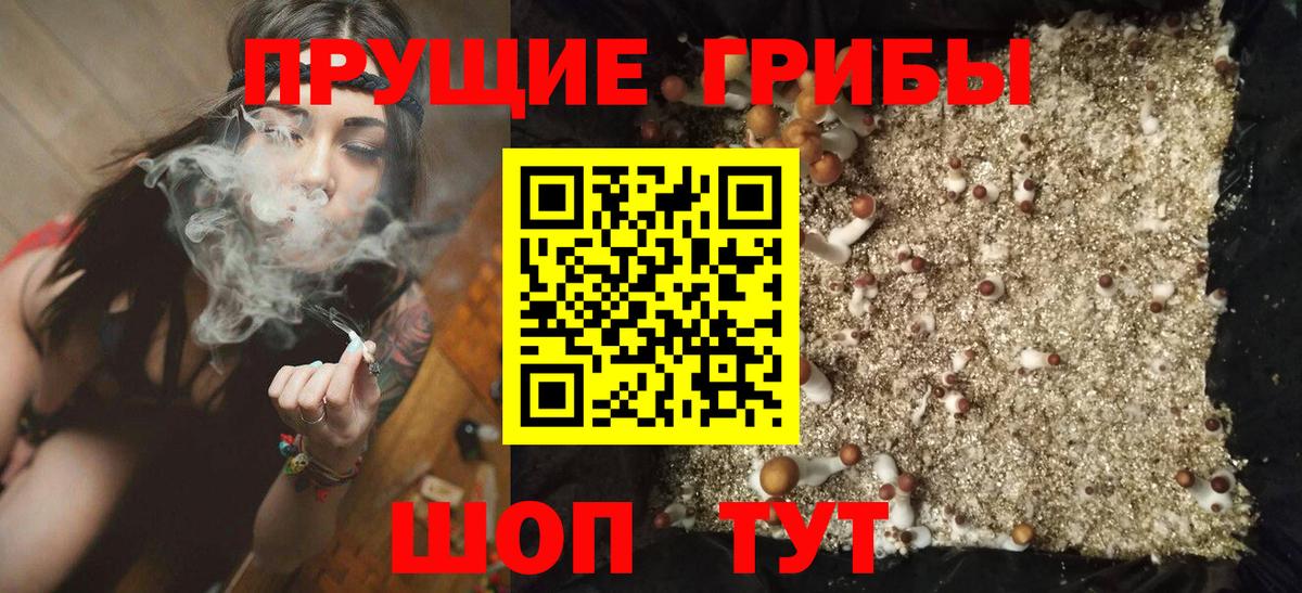 Псилоцибиновые грибы прущие грибы  Вход с VPN  Галлюциногенные грибы ЛСД  Фурманов 